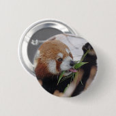 panda - rooddier is schattig ronde button 5,7 cm (Voorkant /achterkant)