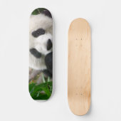 Panda Skateboard (Voorkant)