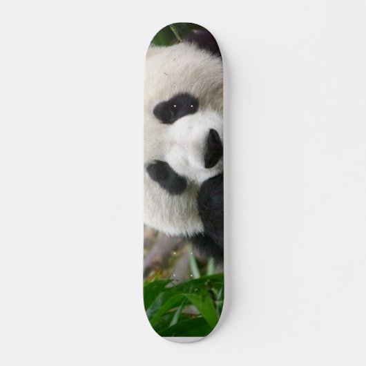 Panda Skateboard (Voorkant)