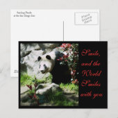 Panda Smile *aanpasbaar* Briefkaart (Voorkant / Achterkant)