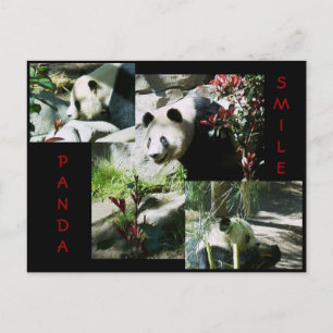 PANDA SMILE BRIEFKAART