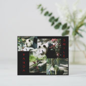 PANDA SMILE BRIEFKAART (Staand voorkant)