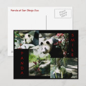 PANDA SMILE BRIEFKAART (Voorkant / Achterkant)