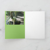 Panda Smile Kaart (Binnen)