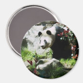 Panda Smile Magneet (Voorkant / Achterkant)