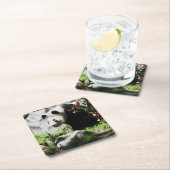 Panda Smile Onderzetter (Insitu)