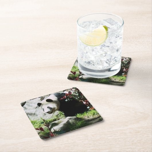 Panda Smile Onderzetter (Insitu)