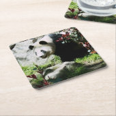 Panda Smile Onderzetter (Schuin)