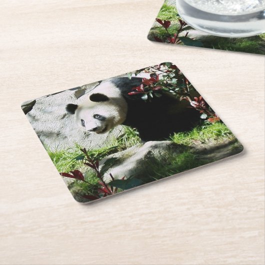 Panda Smile Onderzetter (Schuin)