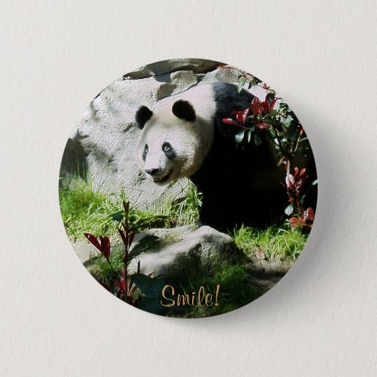 Panda Smile. Ronde Button 5,7 Cm (Voorkant)