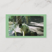 Panda Smile Visitekaartjes (Achterkant)