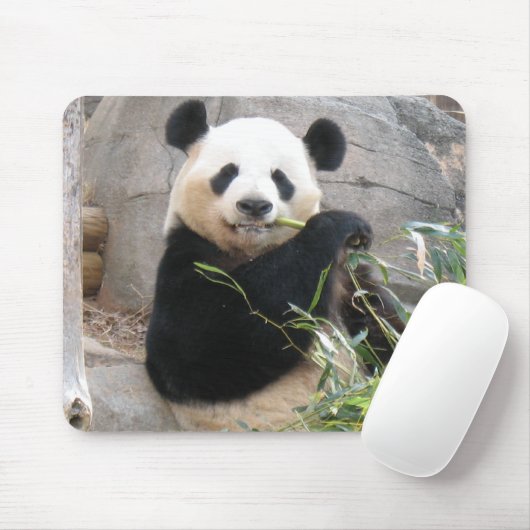 Panda Snack Muismat (Met muis)