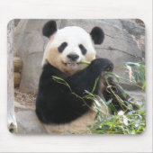 Panda Snack Muismat (Voorkant)