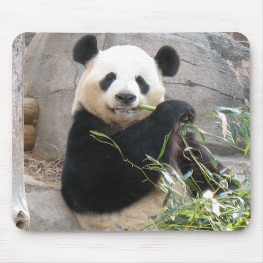 Panda Snack Muismat (Voorkant)
