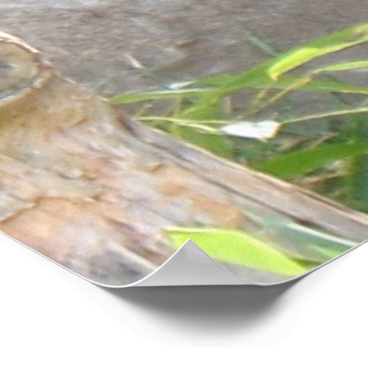 Panda Snack Poster (Hoek)