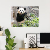 Panda Snack Poster (Thuiskantoor)