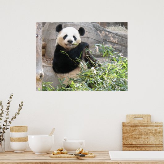 Panda Snack Poster (Keuken)