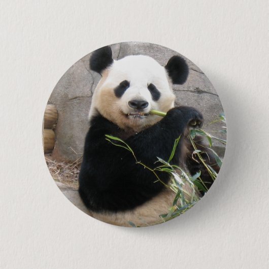 Panda Snack Ronde Button 5,7 Cm (Voorkant)