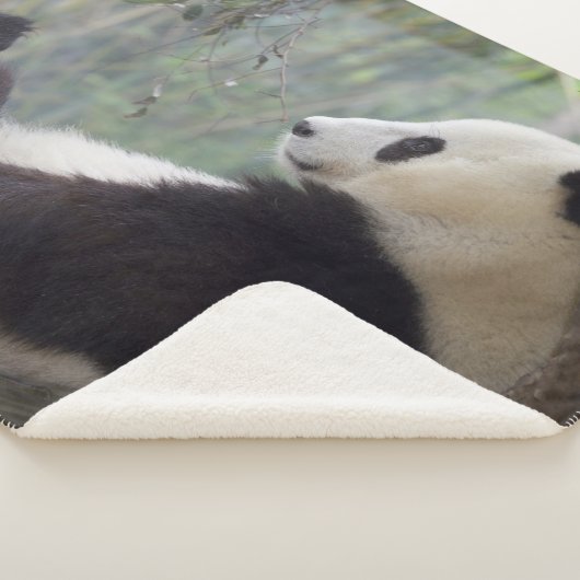 PANDA SNOOZE SHERPA DEKEN (3/4)