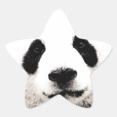 Panda Ster Sticker (Voorkant)
