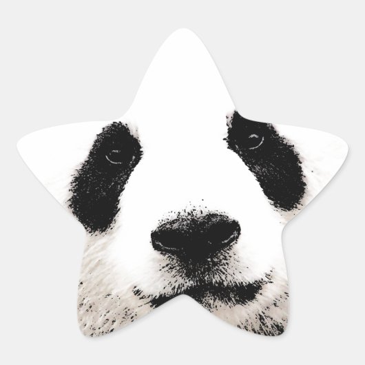 Panda Ster Sticker (Voorkant)