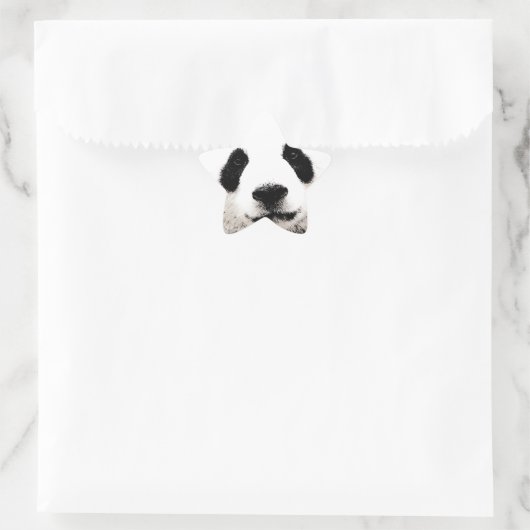 Panda Ster Sticker (Tas)