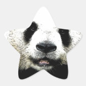 Panda Ster Sticker (Voorkant)