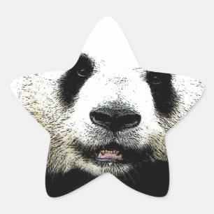 Panda Ster Sticker