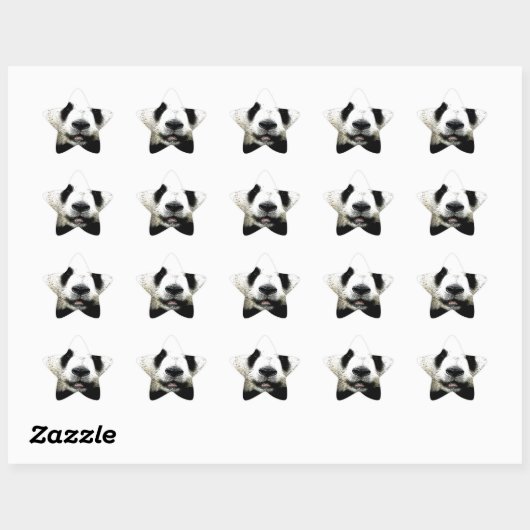Panda Ster Sticker (Vel)