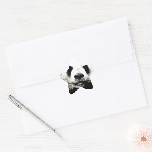 Panda Ster Sticker (Envelop)