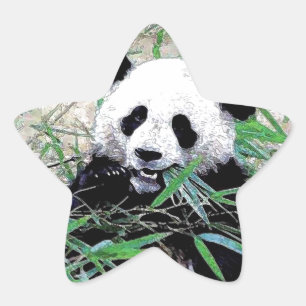 Panda Ster Sticker