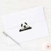 Panda Sticker (Envelop)