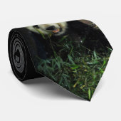 Panda Stropdas (Opgerold)