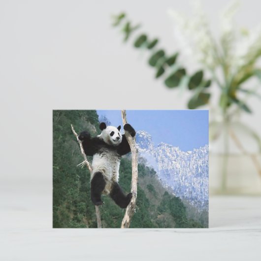 Panda stuck in Tree Briefkaart (Staand voorkant)
