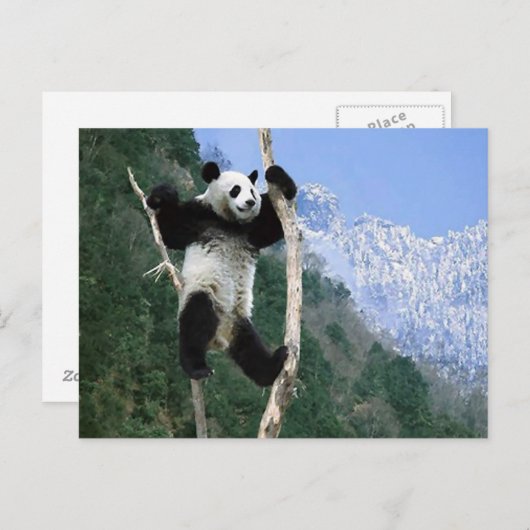 Panda stuck in Tree Briefkaart (Voorkant / Achterkant)
