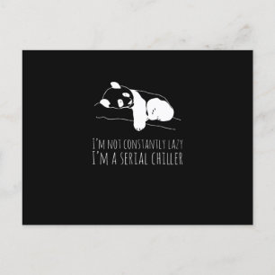 Panda Sweet Funny Funny Koala Animals Briefkaart