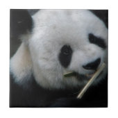 Panda Tegeltje (Voorkant)