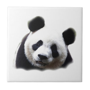 Panda Tegeltje