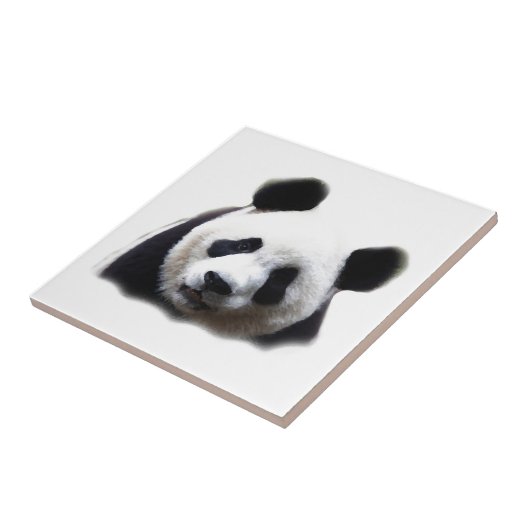 Panda Tegeltje (Zijkant)