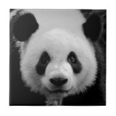 Panda Tegeltje (Voorkant)