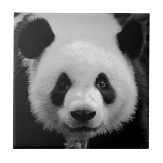 Panda Tegeltje (Voorkant)