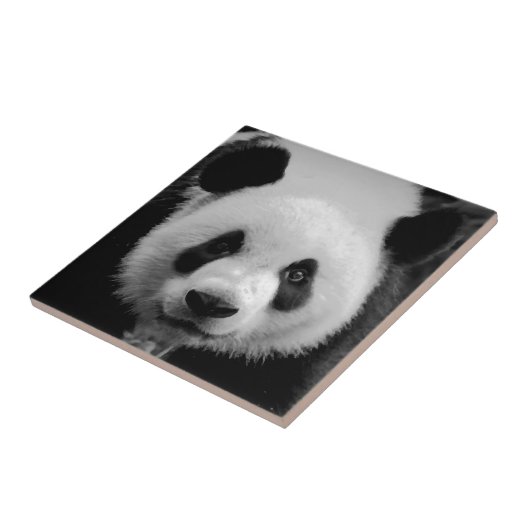 Panda Tegeltje (Zijkant)