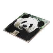 Panda Tegeltje (Zijkant)