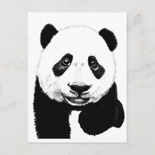 Panda-tekening Briefkaart