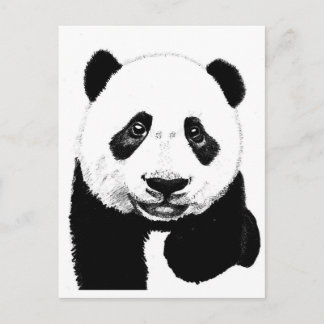 Panda-tekening Briefkaart