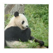 Panda Tile Tegeltje (Voorkant)