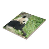 Panda Tile Tegeltje (Zijkant)