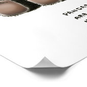 panda trivia poster (Hoek)