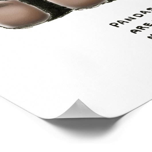 panda trivia poster (Hoek)