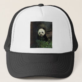 Panda Trucker Pet